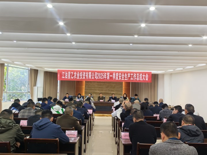筑牢安全基石  护航企业发展     ——农投公司召开2025年第一季度安全生产工作总结大会